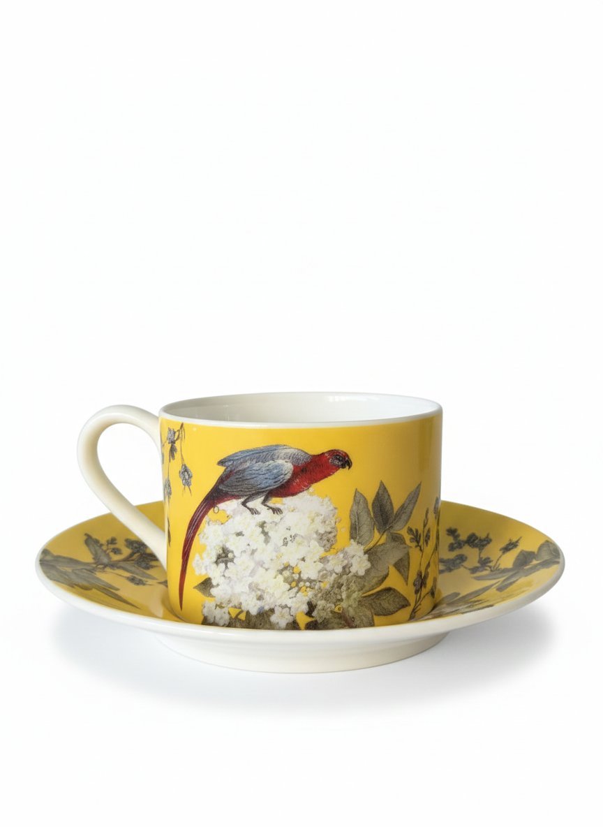 CUP AND SAUCER "ORIENT"