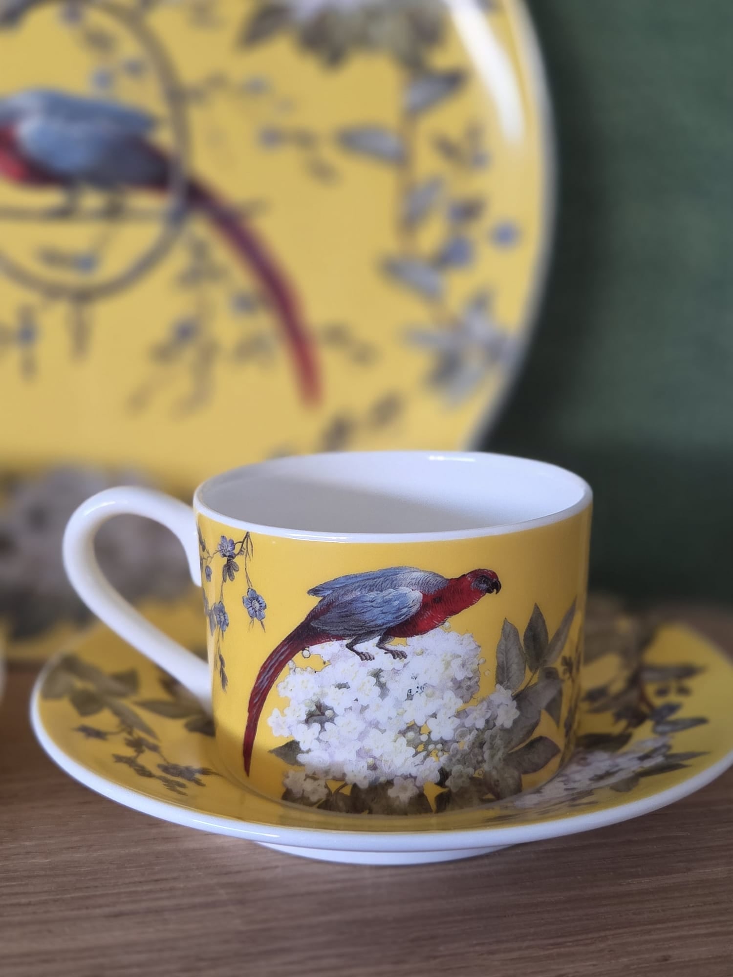 CUP AND SAUCER "ORIENT"